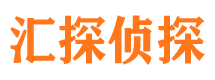 大新市侦探公司